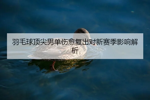 yu-mao-qiu-ding-jian-nan-dan-shang-yu-fu-chu-dui-xin-sai-ji-ying-xiang-jie-xi-1-991.jpg
